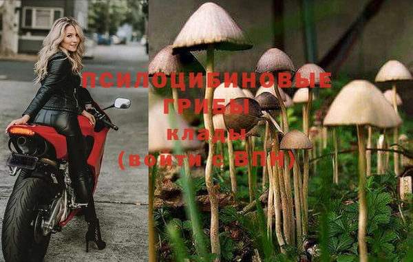 MDMA Premium VHQ Лихославль