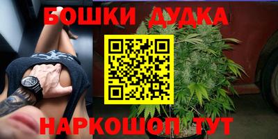шишки Краснознаменск