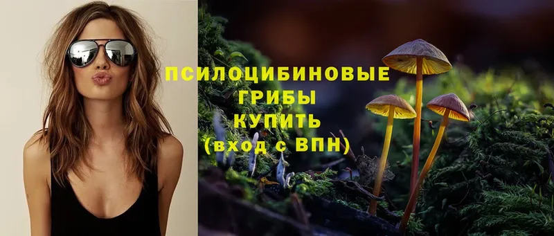 Псилоцибиновые грибы Magic Shrooms Геленджик