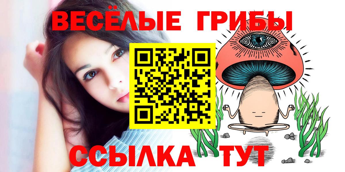 Псилоцибиновые грибы MAGIC MUSHROOMS Геленджик