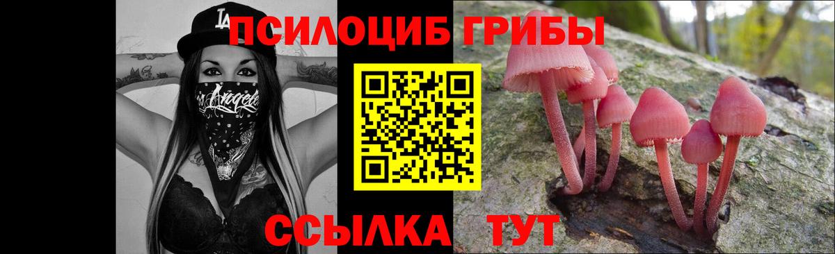 Псилоцибиновые грибы ЛСД  Геленджик 